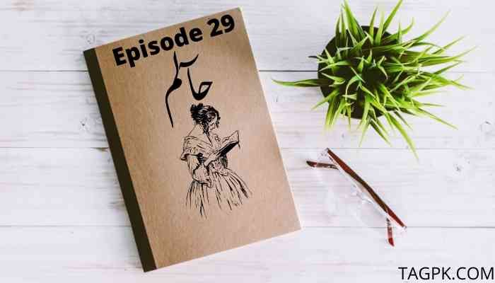 Haalim Episode 29 PDF Download