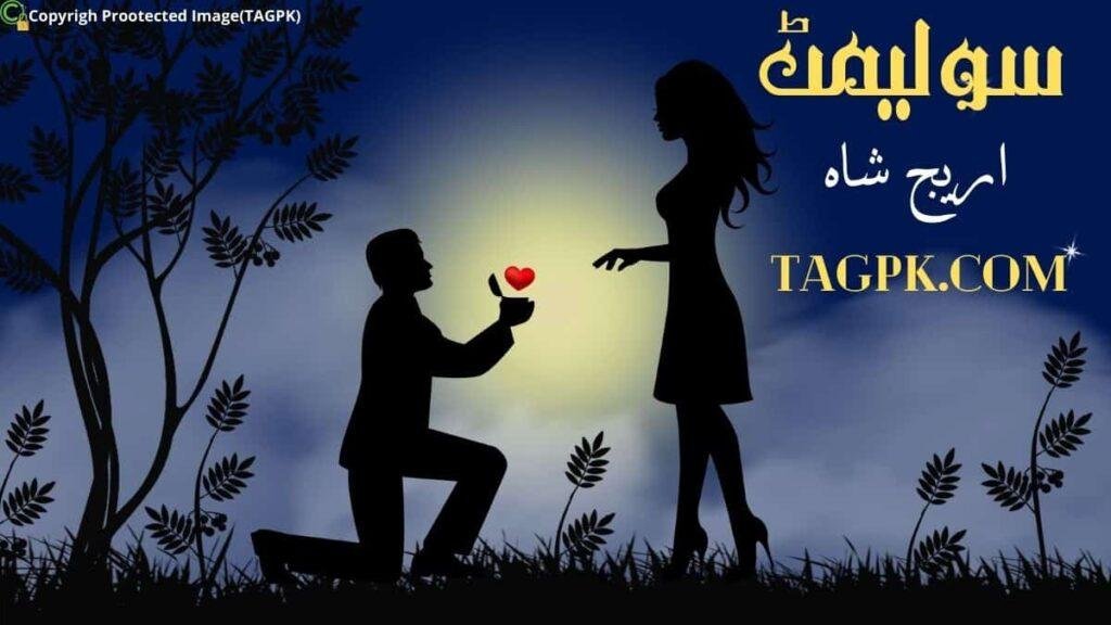 Soulmate Novel By Areej Shah