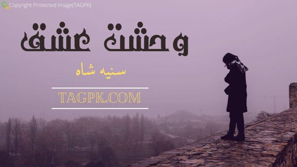 Wehshaat E Ishq By Saniya Shah