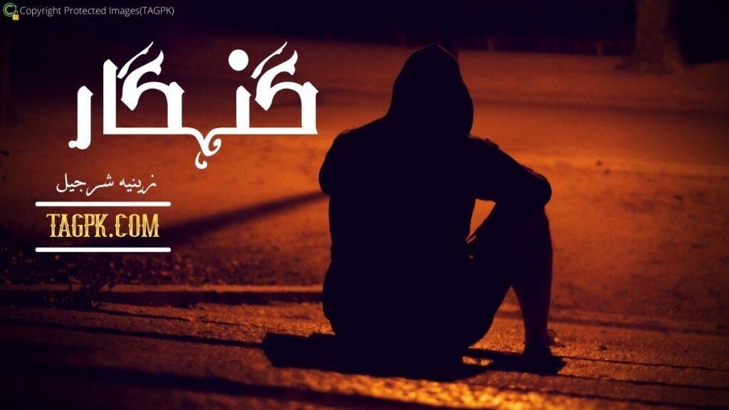 Gunahgar by Zeenia Sharjeel