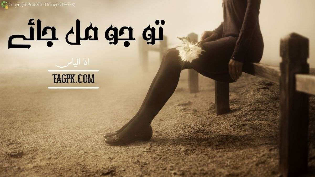 Tu Jo Mil Jaye by Ana Ilyas