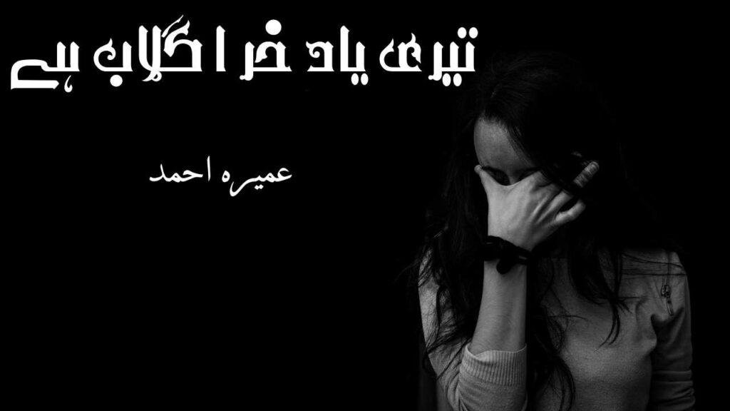 Teri Yaad Khar e Gulab hai Novel 