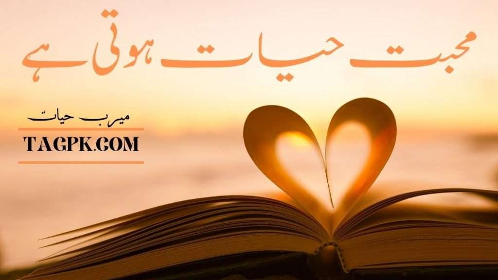 Mohabbat Hayat Hoti Hai By Meerab Hayat