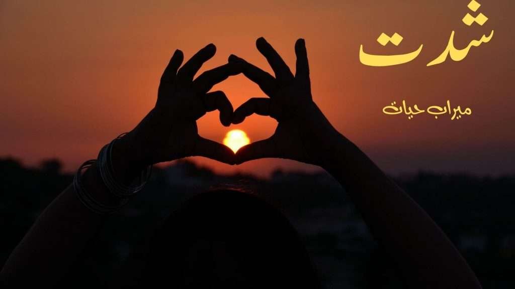 Shiddat novel by meerab Hayat