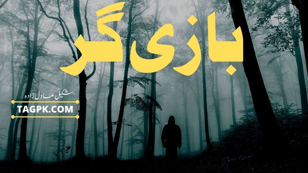 Bazigar By Shakil Adilzada