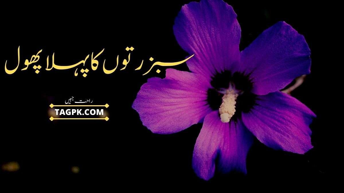 Sabz Ruton Ka Pehla Phool By Rahat Jabeen