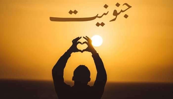 Junooniyat Novel By Maryam