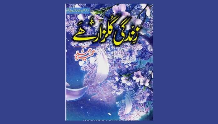 Zindagi Gulzar Hai Novel