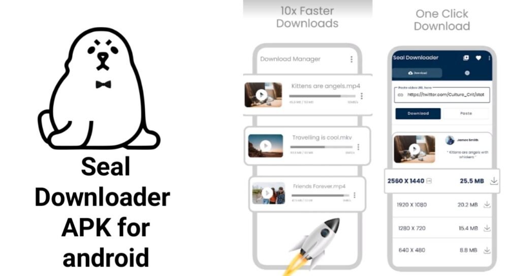 How To Use Seal Downloader APK