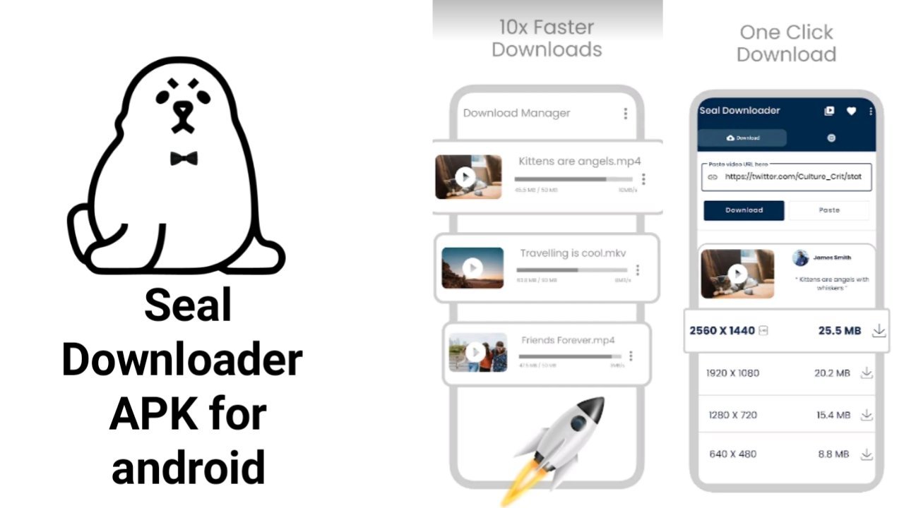 How To Use Seal Downloader APK
